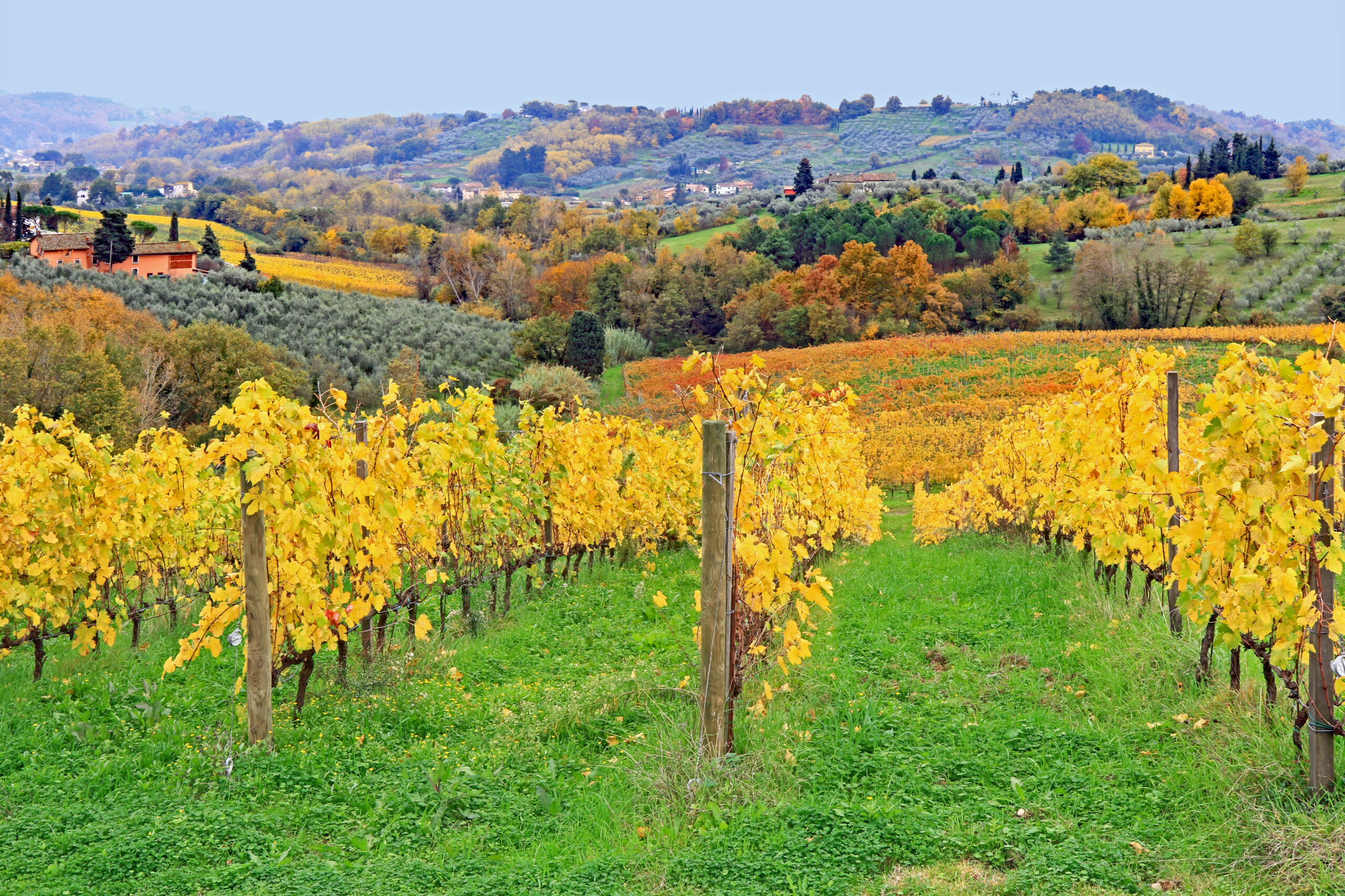 Colline lucches_northtuscanyi